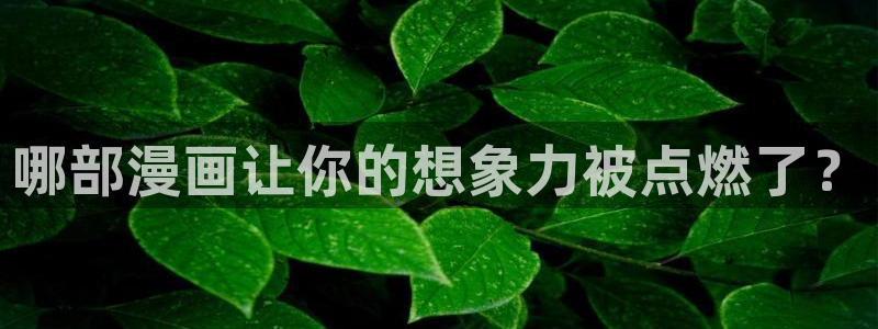 歪歪漫画sss51漫画画在线平台：哪部漫画让你的想象力被点燃了？