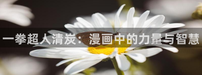 阿吧漫画51漫画大全：一拳超人清炭：漫画中的力量与智慧