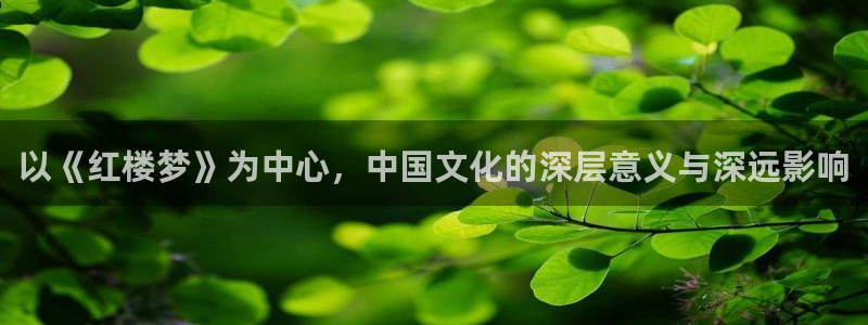 51漫画免费阅读漫画网：以《红楼梦》为中心，中国文化的深层意义与深远影响