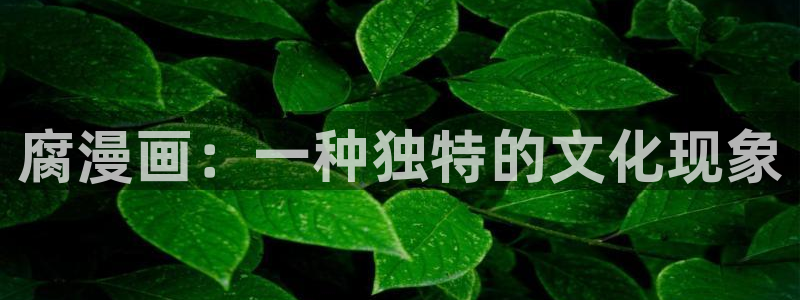 51漫画让我一见钟情的他漫画：腐漫画：一种独特的文化现象