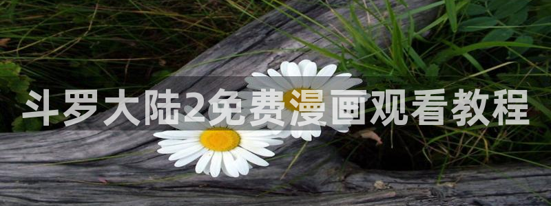 歪歪黄色51漫画：斗罗大陆2免费漫画观看教程