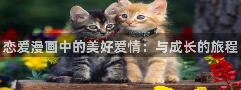 免费51漫画在线观看完整版：恋爱漫画中的美好爱情：与成长的旅程